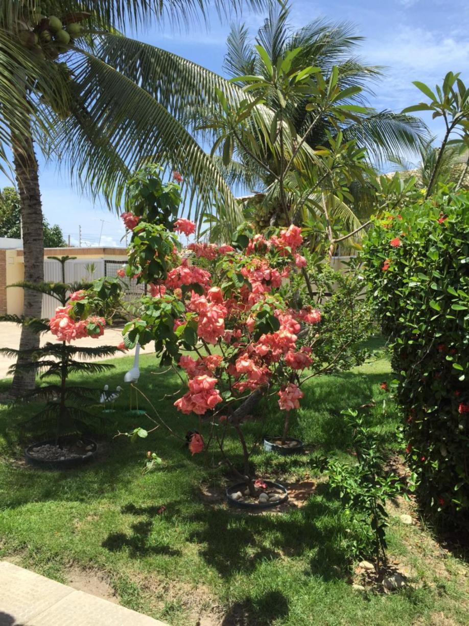 Pousada Villa Joia Barra de São Miguel Eksteriør billede